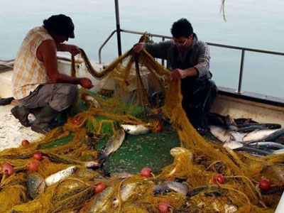 Οι Νομαρχίες Ηρακλείου και Ρεθύμνου υπέρ της προστασίας των αλιευμάτων της Μεσσαράς